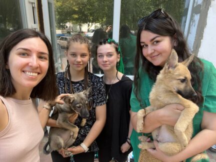 Fundraiser to support the shelter «Dvornyaskam dom»