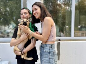 Fundraiser to support the shelter «Dvornyaskam dom»